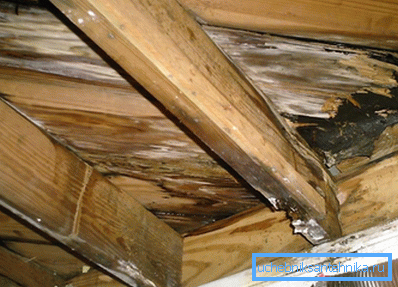 Example of mold on wooden beams