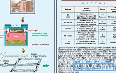 The principle of action of bioactivators The principle of action of bioactivators