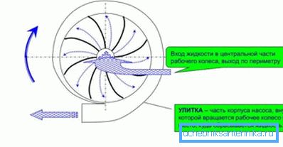 The principle of operation of centrifugal pumps. The principle of operation of centrifugal pumps.