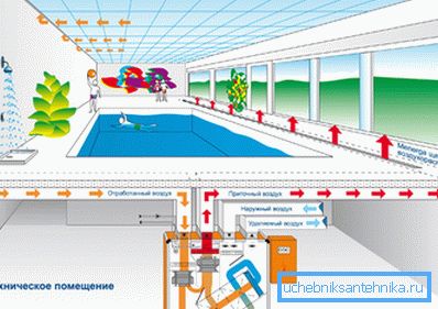 Forced-air and exhaust ventilation in the pool Forced-air and exhaust ventilation in the pool