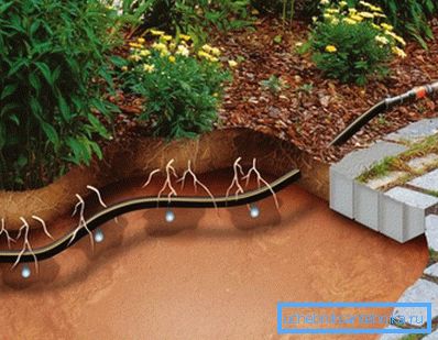 Laying perforated supply hose in the ground. Laying perforated supply hose in the ground.