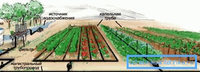 The simplest scheme of the irrigation system The simplest scheme of the irrigation system