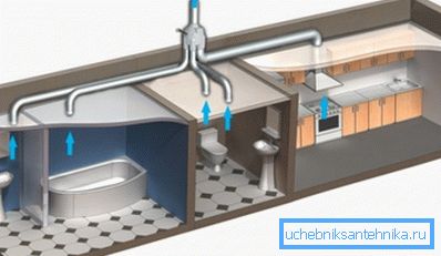 The simplest system of removal of unpleasant odors and vapors, which is presented in the form of an extensive mine, collected in one riser The simplest system of removal of unpleasant odors and vapors, which is presented in the form of an extensive mine, collected in one riser