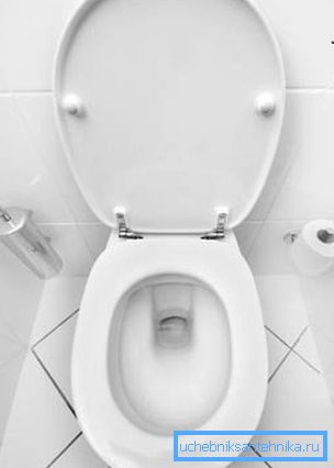 Consider the device toilet vase (bowl). Consider the device toilet vase (bowl).