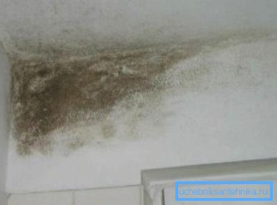 Mold multiplication is the result of poor air circulation in the apartment.