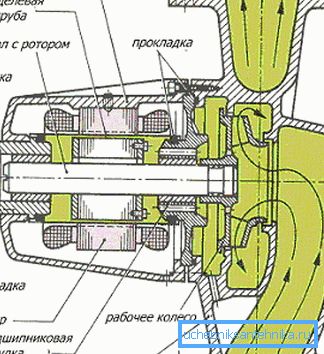 Rotor in contact with water