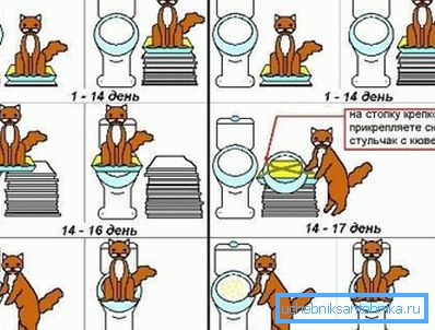 Taming Guide in Pictures Taming Guide in Pictures