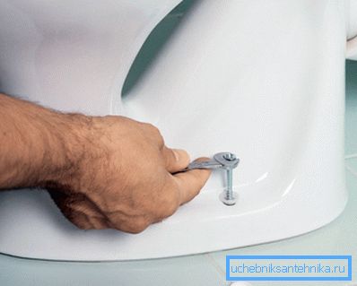 Plumbing bolt with a plastic washer and a decorative cap. Plumbing bolt with a plastic washer and a decorative cap.