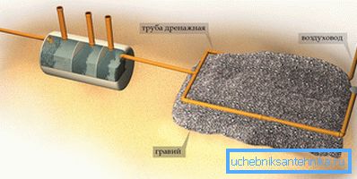 Filter septic tank