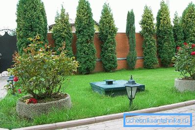 Septic in landscape design Septic in landscape design