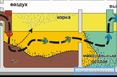 Flow pattern for anaerobic septic system Flow pattern for anaerobic septic system