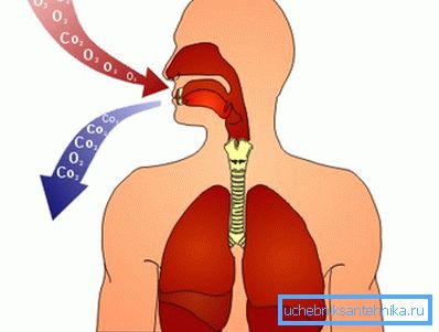 Human breathing pattern Human breathing pattern