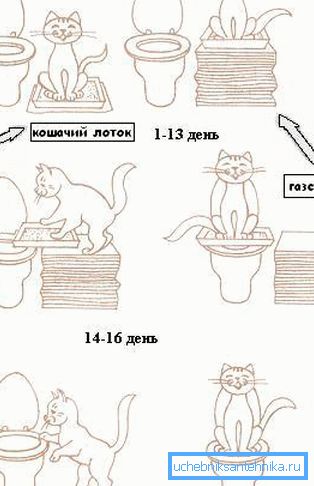 Skill formation pattern Skill formation pattern