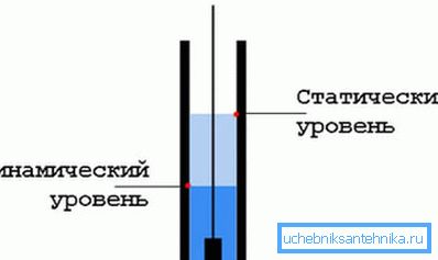 Scheme of the normal location of the dynamic and static level Scheme of the normal location of the dynamic and static level