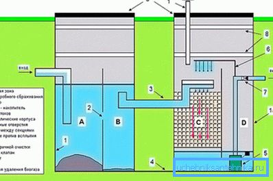 Septic system Septic system