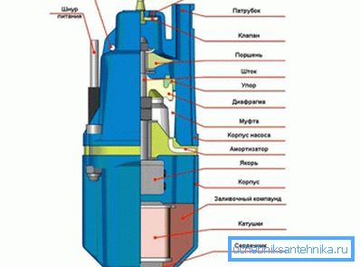 Diagram of the device of the vibration pump Diagram of the device of the vibration pump