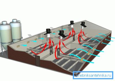 Ventilation scheme of the livestock complex Ventilation scheme of the livestock complex