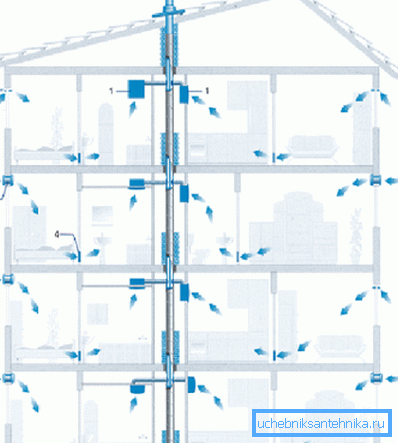The scheme of the ventilation network of an apartment building
