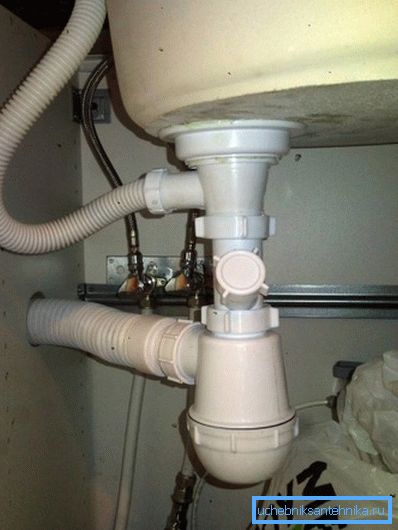 Siphon under the sink. Siphon under the sink.