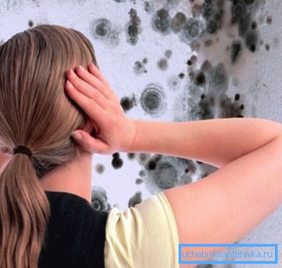 Consequence of ventilation failure - mold and fungus. Consequence of ventilation failure - mold and fungus.