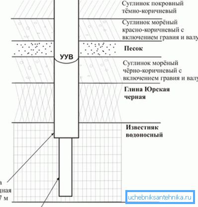 The composition of the soil on a country site The composition of the soil on a country site