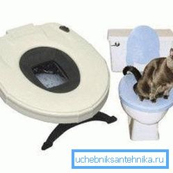 Special toilet seat Special toilet seat