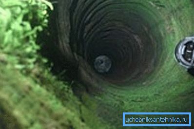 The walls of the mine are contaminated with green moss.