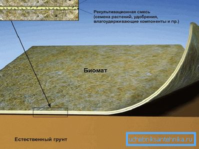 1207 Biomat structure