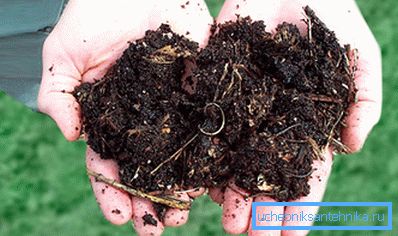 Raw materials for the independent production of biogas Raw materials for the independent production of biogas