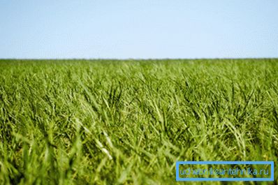 The raw material for the production of biofuels is organic The raw material for the production of biofuels is organic