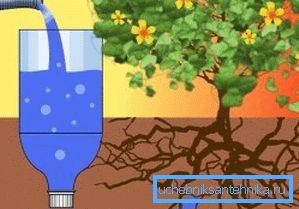 So drip irrigation is carried out.