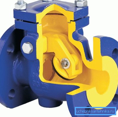This is what a check valve looks like from the inside. This is what a check valve looks like from the inside.
