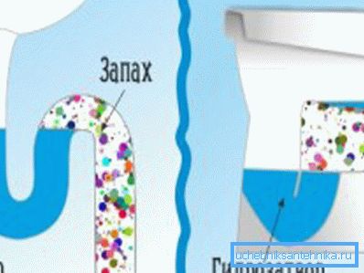 This is how the water seals in the sink and toilet This is how the water seals in the sink and toilet