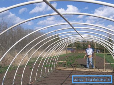 Greenhouse from pipes: available options and features of the