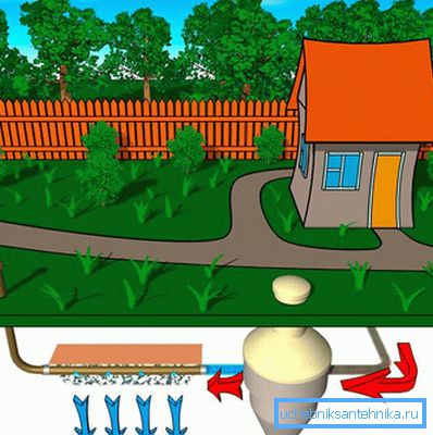 1144 Type of septic tank to pick up