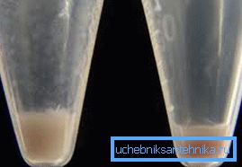 Solid quality granule in water turned into mush Solid quality granule in water turned into mush