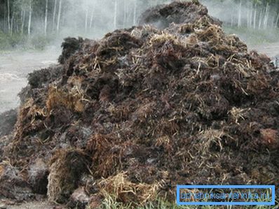 Fertilizers release heat Fertilizers release heat