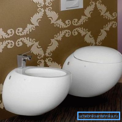 Toilet bowl and bidet look like an egg