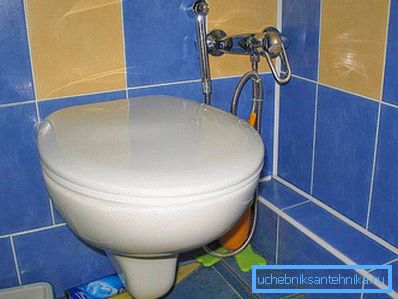 Bidet toilet