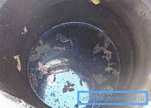 Fallen leaves are a good source of future rot and trouble. Fallen leaves are a good source of future rot and trouble.