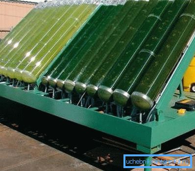 Installation for the production of organic energy from algae Installation for the production of organic energy from algae