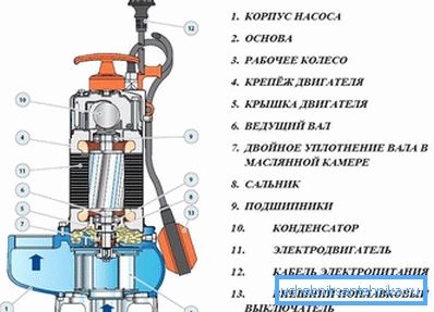 1163 Fecal pump device