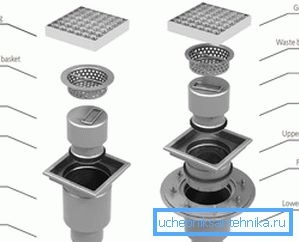 Device of a shower Device of a shower