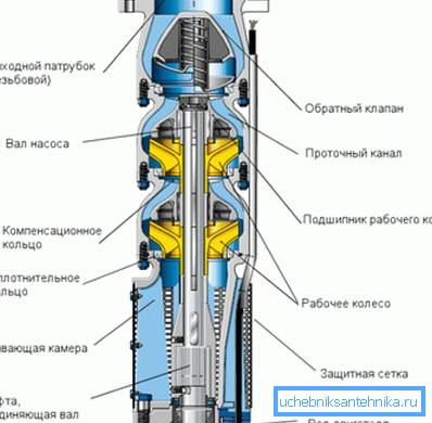 The device of the centrifugal pump with two impellers. The device of the centrifugal pump with two impellers.