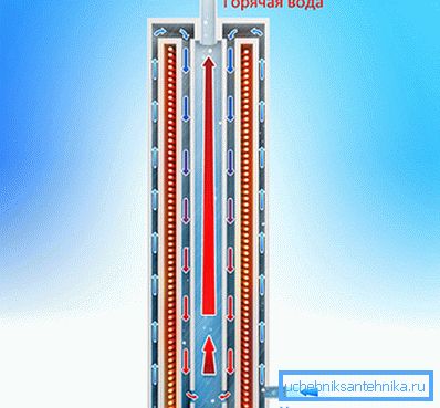 The device in the section and the principle of its work The device in the section and the principle of its work