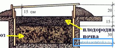Ground insulation with manure Ground insulation with manure