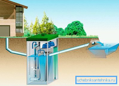 1145 Purification of purified water