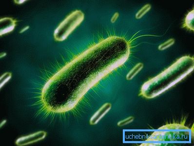Increased anaerobic microargonisms Increased anaerobic microargonisms