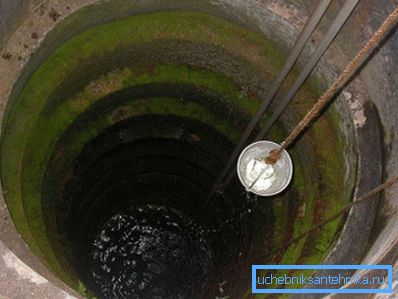 In a green raid, microbes actively reproduce, including pathogens. In a green raid, microbes actively reproduce, including pathogens.