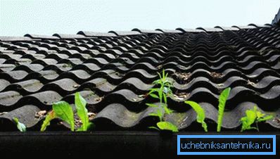 900 Dirt has accumulated in the gutter
